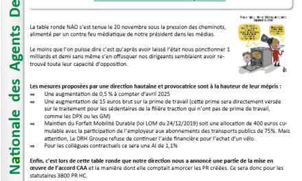 NAO 2025 Une mascarade dans toute sa splendeur !