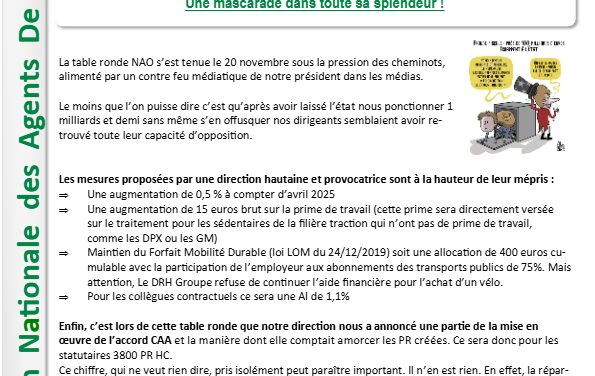 NAO 2025 Une mascarade dans toute sa splendeur !