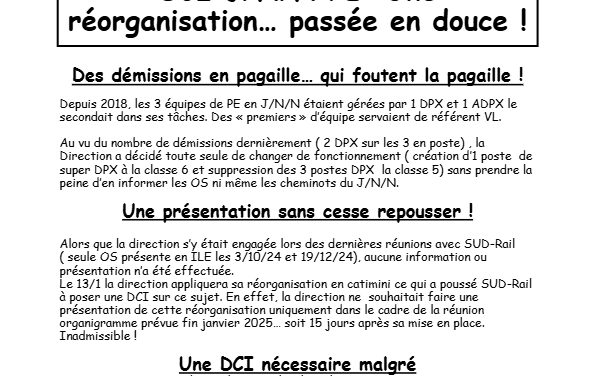 L&rsquo;incongru du TSEE : DCI réorganisation