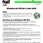 Lettre des délégué-es du personnel du CASI PSE 11/06/25
