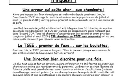 L&rsquo;incongru du TSEE Juillet 2025