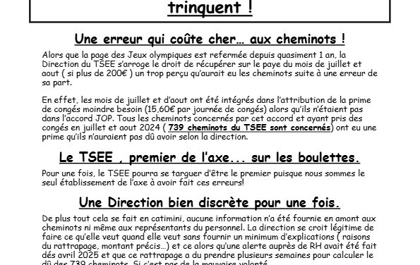 L&rsquo;incongru du TSEE Juillet 2025