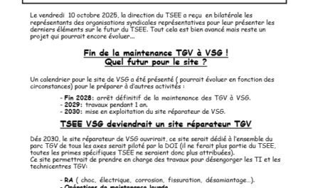 Futur du TSEE : Les cheminots seront les grands oubliés !