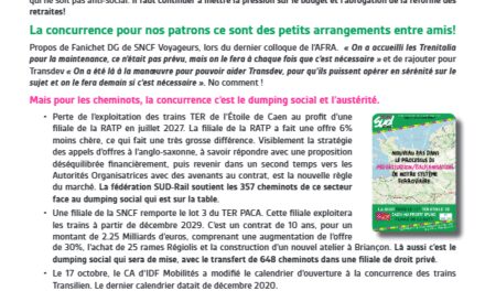 Journal du CSE Central Voyageurs