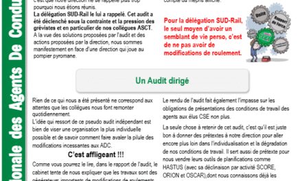 Liaison National des ADC : retour de l’audit planification