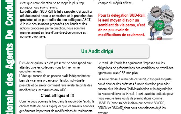 Liaison National des ADC : retour de l’audit planification