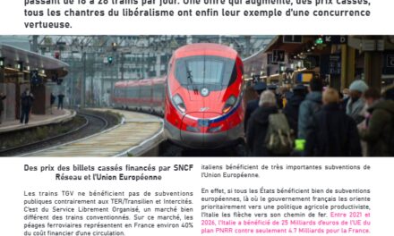 Trenitalia France : l’échec annoncé d’une politique Ferroviaire
