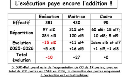 L&rsquo;incongru du TSEE. Organigramme 2026, l&rsquo;exécution paye encore l&rsquo;addition !