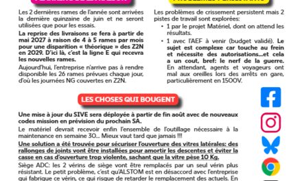Comité RER NG Ligne D Juin 2026