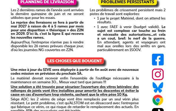 Comité RER NG Ligne D Juin 2026