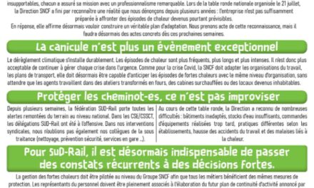 Table ronde « REX canicule »