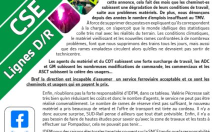 Réduction du plan de transport sur la ligne D.