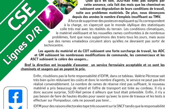 Réduction du plan de transport sur la ligne D.
